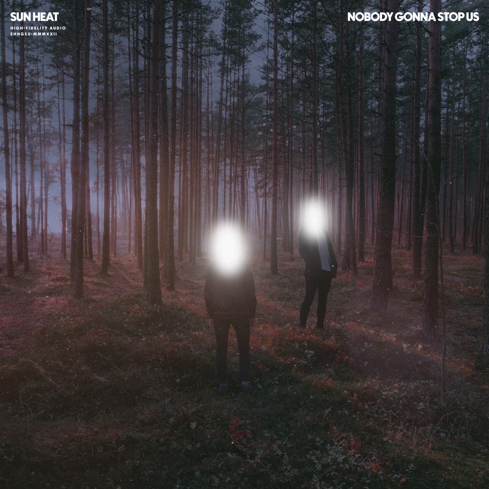 Nobody Gonna Stop Us cover artwork