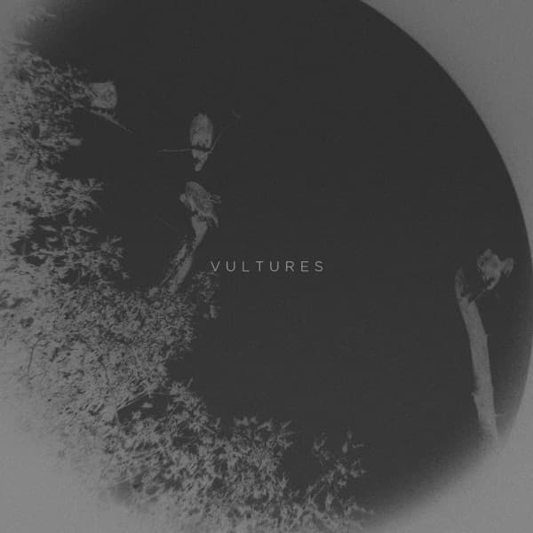 Vultures cover